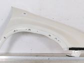 Fender