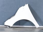 Fender