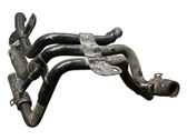 Engine coolant pipe/hose