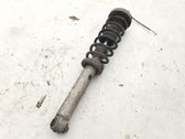 Rear shock absorber/damper