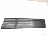 Front door trim (molding)