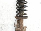Front shock absorber with coil spring