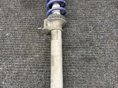 Stoßdämpfer hinten