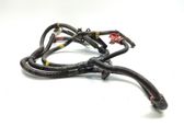 Other wiring loom