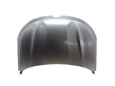 Engine bonnet/hood