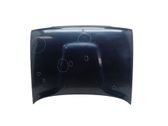 Engine bonnet/hood