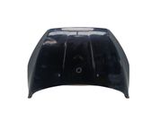 Engine bonnet/hood