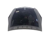 Motorhaube