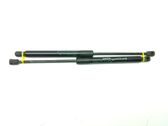 Tailgate/trunk/boot lid buffer