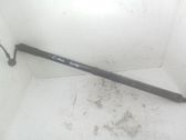 Tailgate/trunk strut/damper
