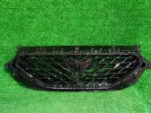 Front bumper upper radiator grill