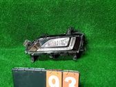 Front fog light