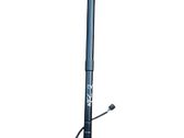 Tailgate strut