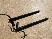 Tailgate/trunk strut/damper