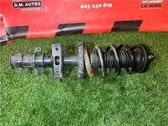 Amortiguador delantero con muelle espiral