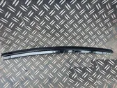 Rear door windshield rail