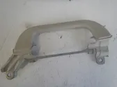 Front interior roof grab handle