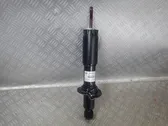 Front shock absorber/damper