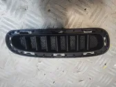 Front bumper lower grill