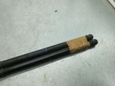 Tailgate/trunk strut/damper