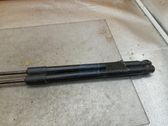 Tailgate/trunk strut/damper
