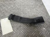 Hebilla del cinturón de seguridad trasero