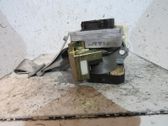 Cinturón trasero