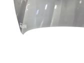 Engine bonnet/hood