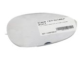 Wing mirror glass