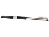 Tailgate/trunk strut/damper