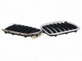 Kühlergrill
