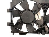 Electric radiator cooling fan