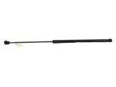Front bonnet/hood damper/strut