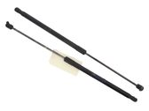 Tailgate/trunk strut/damper