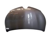 Engine bonnet/hood