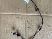 Other wiring loom