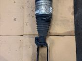 Rear air suspension bag/shock absorber