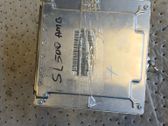 Engine control unit/module ECU