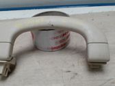A set of handles for the ceiling