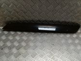 Front door trim (molding)