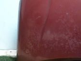 Motorhaube