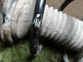Amortiguador delantero con muelle espiral