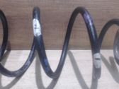 Muelle espiral trasero