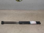 Tailgate/trunk strut/damper