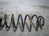 Muelle espiral trasero