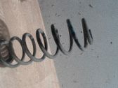 Muelle espiral trasero
