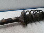 Amortiguador delantero con muelle espiral