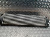 Chłodnica powietrza doładowującego / Intercooler
