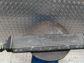 Chłodnica powietrza doładowującego / Intercooler
