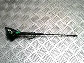 Radion antenni